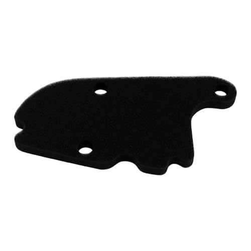 Filtre de nettoyage pour moto 125 et 150 3V ABS B018070