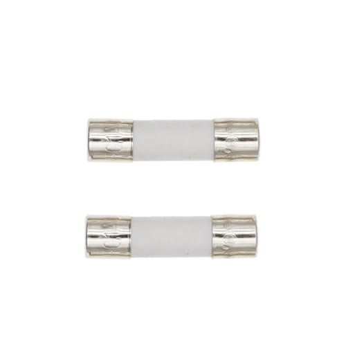 Fusible lento T 0.25A 5x20mm cerámico para protección de circuitos electrónicos