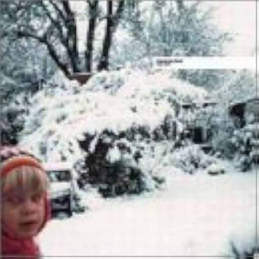 CLARENCE PARK CLARK クラーク(WARP) レコード CHRIS CLARK / CLARENCE PARK(LP) | KOKA RECORDS