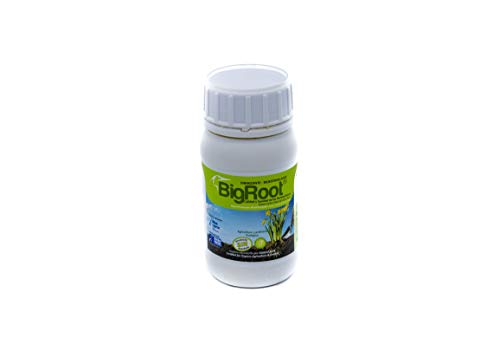 BIGROOT® (2000 m2. Potent biostimulant and root activator. Natural enhancer of plant structure made from peptides, vitamins. Improves the quality of plants and root formation. Organic
