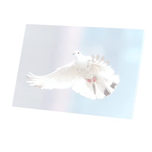 Colombe blanche oiseau de paix tableau pour illuminer mur sombre