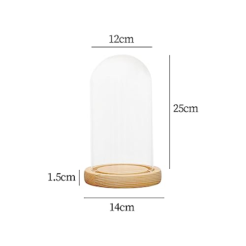 Dôme de présentation transparent en verre pour centre de table de mariage chic