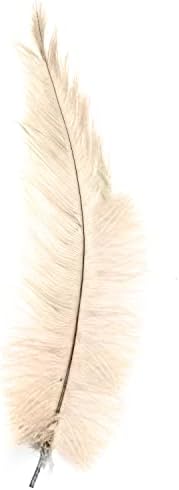 Ostrich Feathers - 10" - 12" / 25cm - 30cm - Pick Quantity / 25 Colours (Red, 2 x Ostrich Feathers)