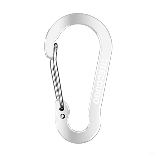 Carabiner Keychain,Aluminum D-ring Locking Carabine D-Shape Lock Snap Backpack Water Bottle Keychain Climbing Gear Accessories EDC Camping Tent Multi Function Tool Multiple Colors Silver 10 Pack