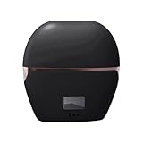 Raddrizzatore per capelli mini da viaggio – pettine senza fili a 3 temperature | raddrizzatore per capelli, per lisciare, arricciare, acconciare, casa, ufficio, scuola, all