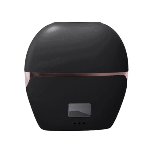 Lisseur à Cheveux Mini de Voyage,3 températures rechargeable numérique anti-brûlure | Petit Fer À Lisser Brosse,Pour Femme Adulte Enfant, Domotravail Voyage