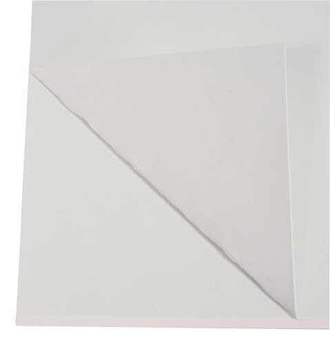 Railroad Board blanc 55,9 x 71,1 cm pour affiches de classe
