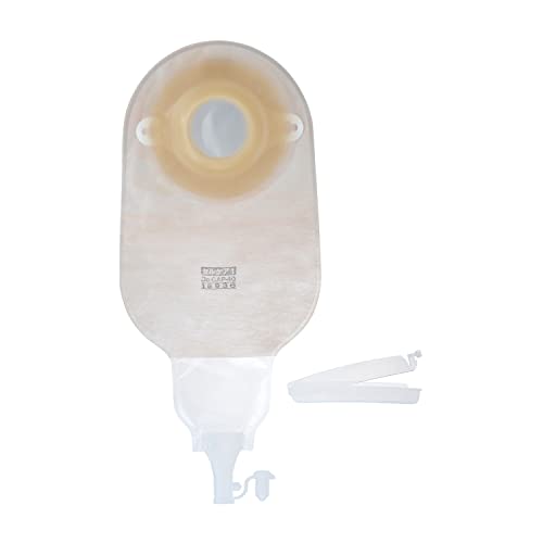 アルケア 【非課税】セルケア1・Dcキャップ(40) 18936(5マイ)