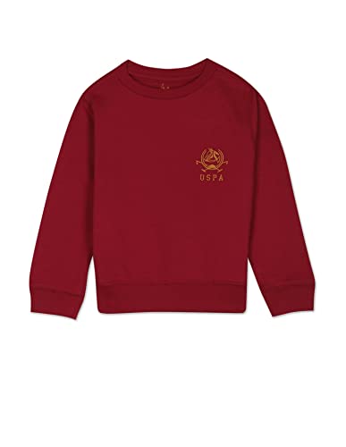 Image of U.S. Polo Assn. Boys Sweatshirts