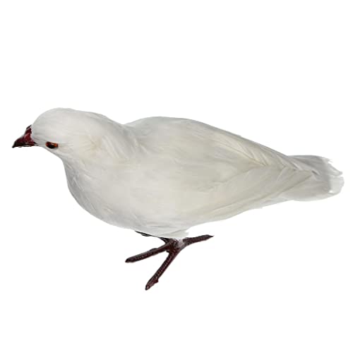 KRDPMV fBXvCAH|Ap̐lHHt, 1zCgEX^h