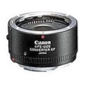 Amazon.com : Canon Life Size Converter EF Macro Lens