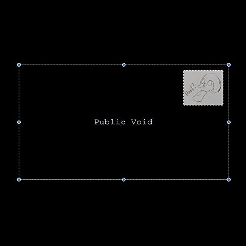 Public Void [Disco de Vinil]