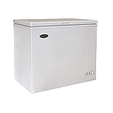 Commercial Solid Top Chest Freezer by Atosa