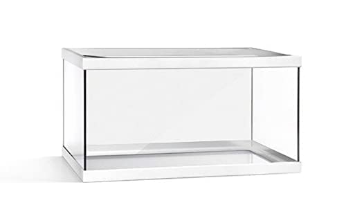 Acquario 20 litri, acquari in vetro