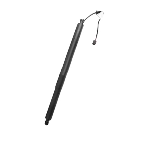 Support levage hayon électrique défectueux : solution 81841S1100 Santa Fe