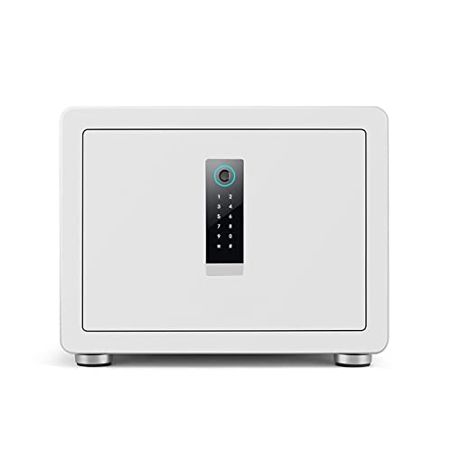Coffre-fort ignifuge RLKHXBS connecté wifi empreinte noir