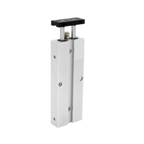 Vérin TN16X50S double tige pour corriger les défauts d'alignement mécanique