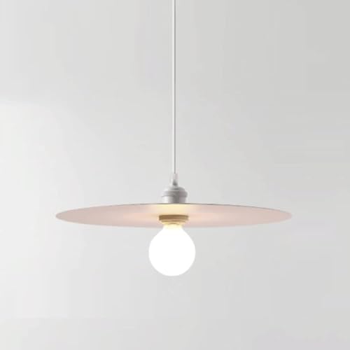 Lámpara techo industrial de metal minimalista con acabado retro sofisticado
