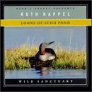 Loons of Echo Pond - Wild Sanctuary by Ruth Happel