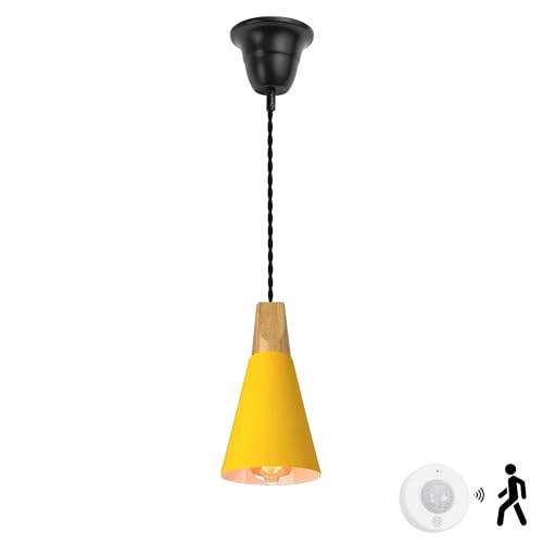 Kiven ^ lZT[ ZT[XCb` |V[OCg Jo[t Hsv L gC QΉ ݂艺Ɩ   VvfUC E26Ή dʔ a14cmVF[h F