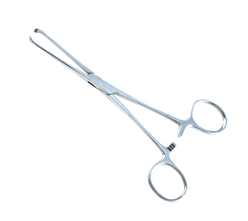 Allis Tissue Forceps, 6 inch, Ratchet Lock
