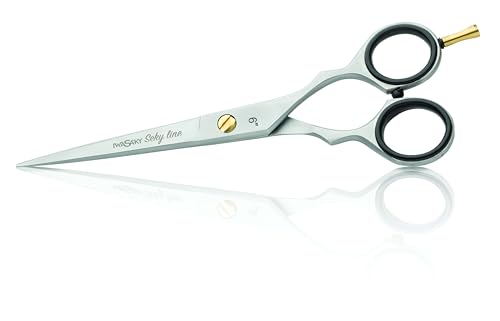 Ciseaux de coupe Iwasaki Seki Line Xanitalia Pro en acier de 6 pouces