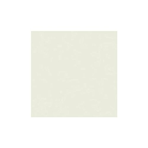 Clairefontaine 1788C - Ries mit 500 Blatt Druckerpapier / Kopierpapier Trophée, DIN A4 (21x29,7 cm), 80g, Perlgrau Pastellfarbe, 1 Ries
