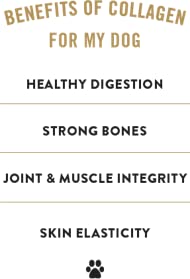 Truranch TR2169 Collagen Chips, Chicken, Healthy Joint Support Dog Treat, Rawhide Alternative thumb #2