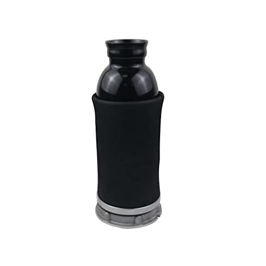 Bisenya Ammortizzatore a sospensione pneumatica anteriore Compatibile con A6 C5 1.8 T 1.9 TDI 4Z7616051B 4Z7616051D