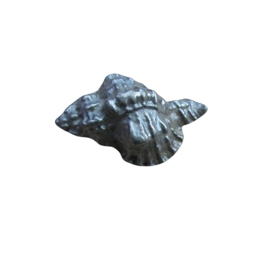 Ironmongery World® hierro fundido concha de mar decorativo concha de mar armario armario cajón mango pomo (plata)