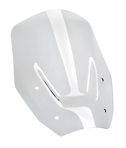 Déflecteurs de vent avant pour R 1300 GS accessoires transparents R1300