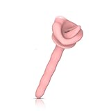 Kutocesy Bdsm Silikon Keuschheitskäfig Penisplug Harnröhren Dilatator Pink Peniskäfig Zubehör Hohl Penis Plug Für Chastity Cage Katheter Sexspielzeug Für Männer (S)