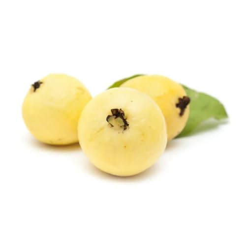Muda Frutífera de Araçá Amarelo