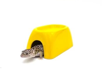 アイシェルター　限定品　２個　未使用保管品　爬虫類シェルター 楽天市場】シェルター 爬虫類 2個セット 洞窟 ハイドロボックス