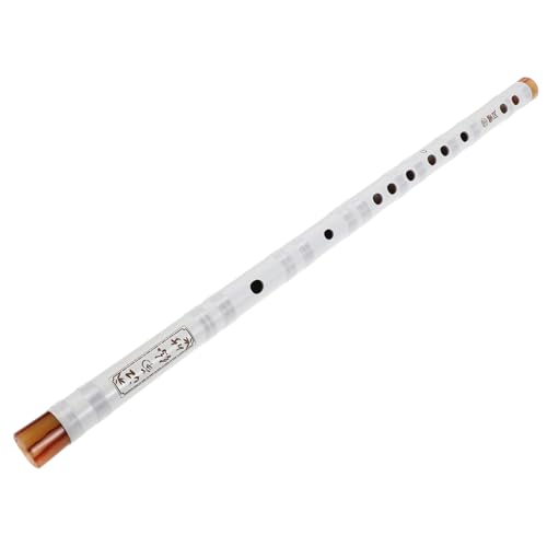 TOYANDONA |J Sҗp vdl t[g J w l wZ̃ohp Kp yy  L[Ή