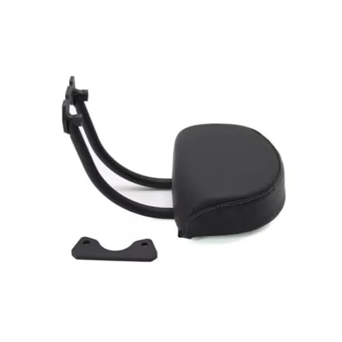Dossier passager haut de gamme noir mat pour Sportster S 1250