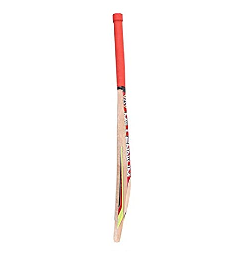 CW PACE Sports Combo in pelle palla gioco kashmir salice mazza da cricket full size con tiro pratica palla in pelle appeso con corda