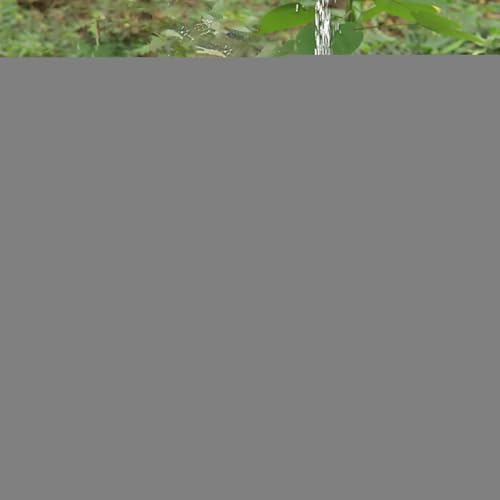 Refugio para cachorros al aire libre y jardín resistente a intemperie 3
