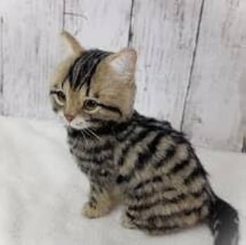 Amazon | funwari□□□ 羊毛フェルト キジトラ 薄めカラー 仔猫