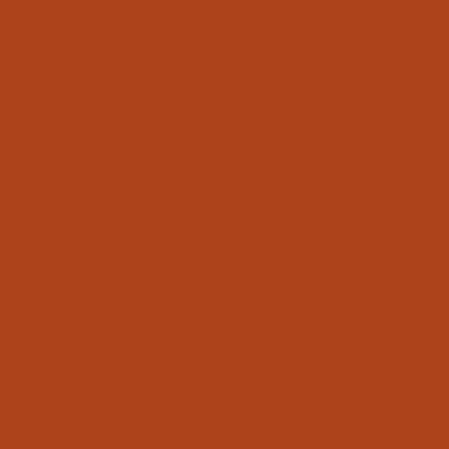 AK Interactive AK11278 - Beast Brown Color Punch 17 Ml - New