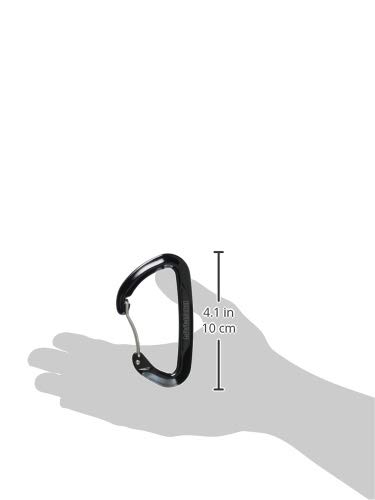 ビッグマン(BIGMAN) 強力カラビナ(CARABINER) 100mm ACE1-10