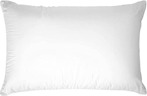 Down Dreams Queen Firm Pillows Set of 2 for Hilton Garden Inn