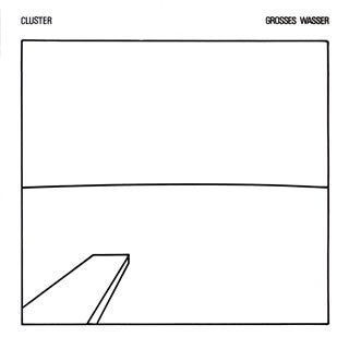 洋楽 Cluster Grosses Wasser CD Grosses Wasser: Cluster, CLUSTER: Amazon.it: CD e Vinili}
