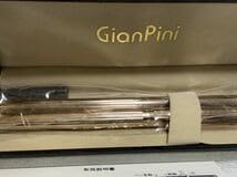 Amazon | GianPini ジャンピニ 万年筆 ボールペン ピンクゴールド