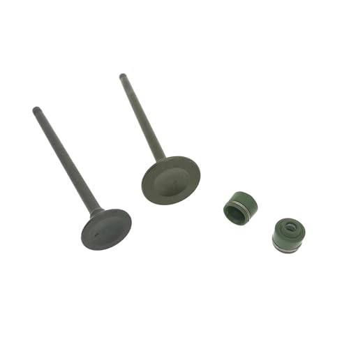 Lets4 Lets5 AhXV50 V50G Let's 4 5 4T 50cc Ce[NXeICV[ɓK