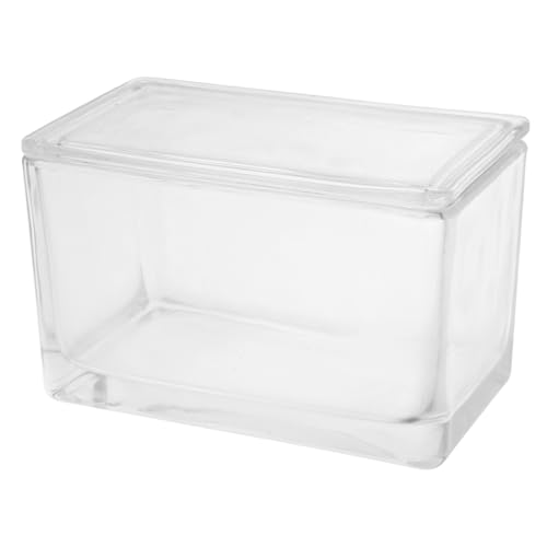 Ciieeo Frasco De Tinción De Vidrio Transparente Para Laboratorio Tanque Cuadrado Para Portaobjetos Resistente y Fácil De Limpiar Para Experimentos Científicos y Uso Profesional