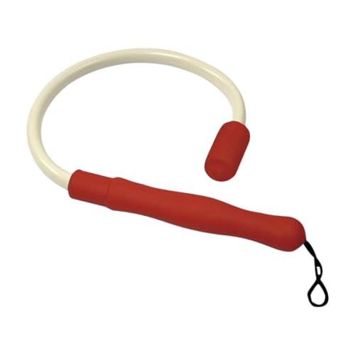 RNXRZANK StXCOg[jOA~߃Obvt̃EH[AbvXeBbN, 