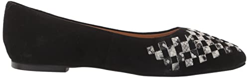 Image of Trotters Harlowe
