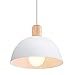 Produktbild iDEGU Ø20cm Hängelampe Retro E27 LED Hängeleuchte Moderne Skandinavisch Deckenleuchte aus Metall Holz Pendelleuchte für Schlafzimmer Esszimmer Küche Restaurant (Weiß, 1 Stück)
