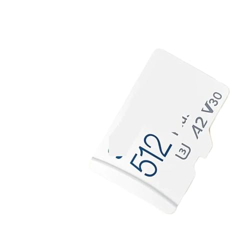 ����ɁA160MB/�b��Micro SD�J�[�h�������[�J�[�h�B